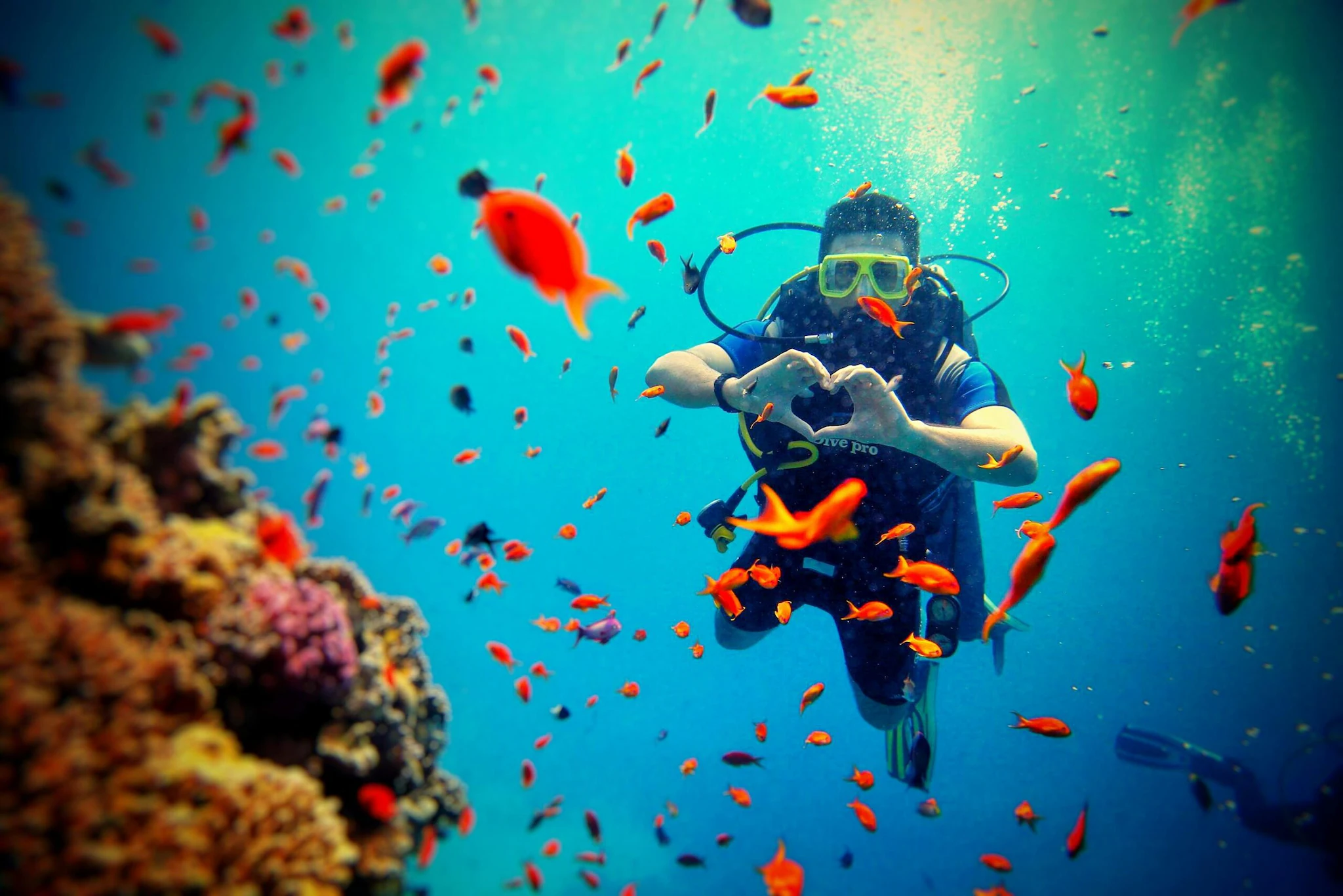 Dive & Discover
