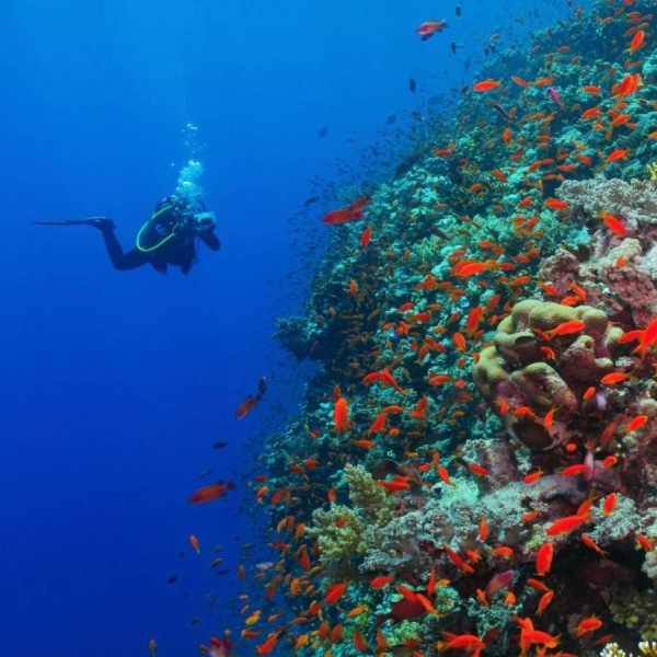 Snorkeler in crystal clear water