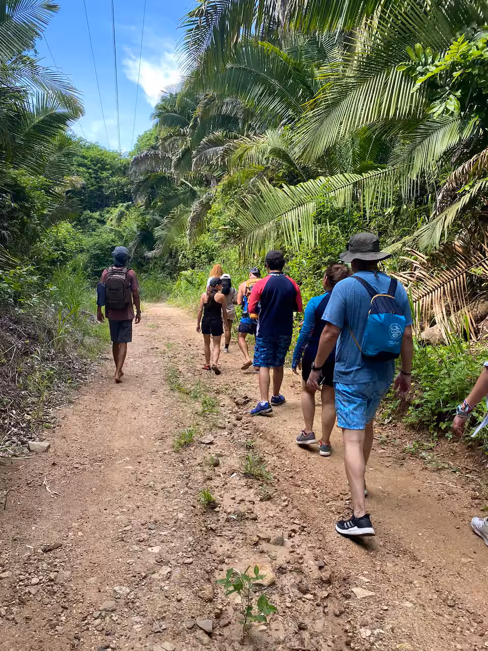 Explore Long Island Treks