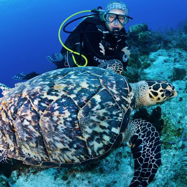 Marine Life & Coral Reefs