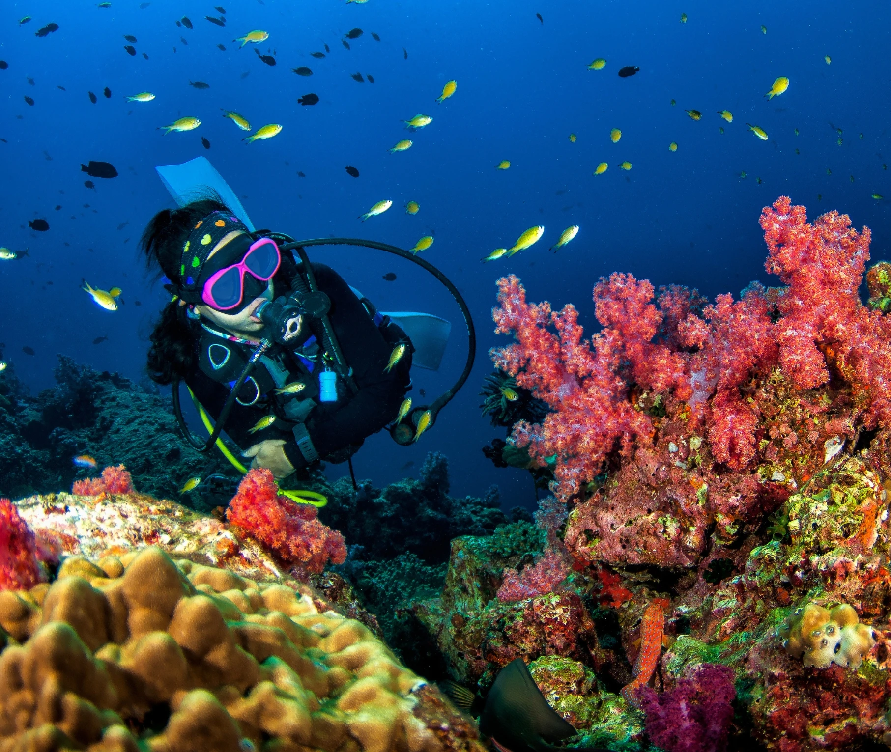 World-Class Scuba Diving