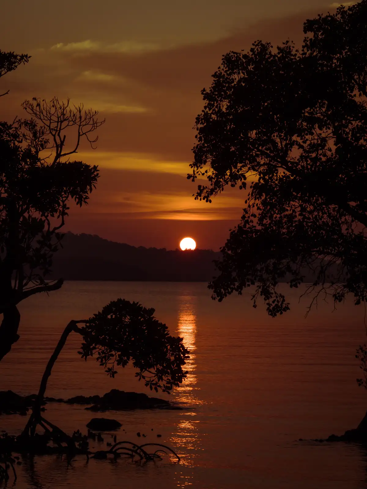 Spectacular Evenings